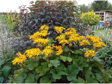 ��������� ��������