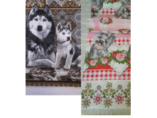 ���� 2 ����