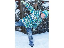 2jk733 ������ ��� ��������, 4900 ���.