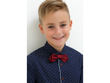 20110280061   Jer        -     (      ).jpg