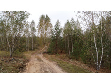 IMG 20171001 112731.jpg