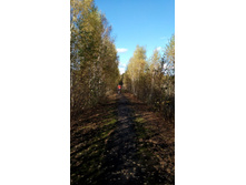 2017-10-08 12-37-19.JPG