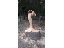 ����, �������� �� �����. ���������� ��������