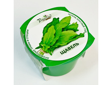 ������ 69 ���