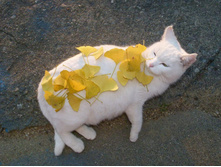 ��� ������� �����