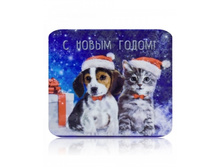 ������ ��ԣ��� � �����.jpg