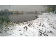 WP 20171023 09 22 49 Pro.jpg