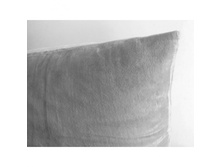 ������ ��������� ��������� �� ������ FELI*CITA