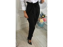 Bryuki-4852. 1313���