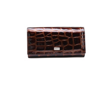 ������� Tosoco ����������� ���� F11-W06.jpg