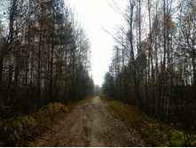 P 20171021 101132.jpg