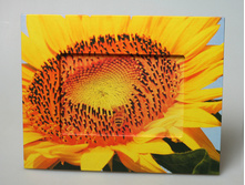 ��������� ��������� 21702 199�.jpg