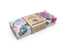 399� Floris ���������� ����� ��� ���������.png