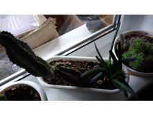 ����������2 ���2