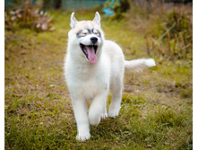 ����� ���� ���� ������