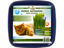 ����� �������� ��� ����� «�������» 56 ���