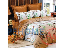 ��� 2�� ����� ������(B69).jpg