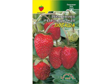 ��������� ������ ������������ ��.��� 8,00 ���.. [���.��781]