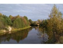 IMG 20171008 103135.jpg