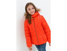 20210130115   Apus   �������.jpg