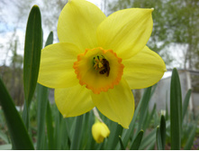 P1030174.JPG