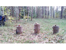 IMG 20171001 140923.jpg