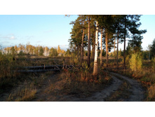 IMG 20171007 163553.jpg