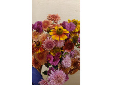 P 20170924 181224.jpg