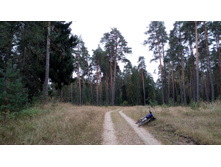 IMG 20171001 110037.jpg