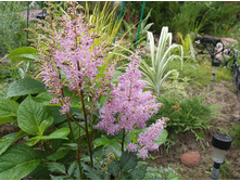 �������� ������