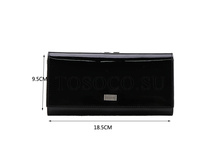 ������� Tosoco ����������� ���� A19-W02.jpg