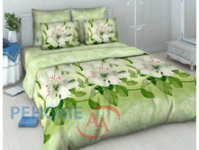 ��� 1,5�� ���� ��������(3848-1 ������).jpg