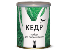 �������� � ����� ���� 105 ���