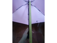 IMG 20171012 084741.jpg