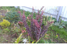 P 20171008 154932.jpg