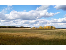 IMG 20171008 131419 HDR.jpg