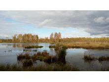 IMG 20171007 130337.jpg