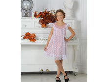 ������ �����, 01007003kakaobel 1.jpg