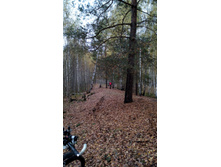 IMG 20171007 105729.jpg