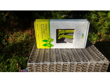 ������� ����� 200�+%