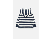 22150100017   Musca        (   ).jpg