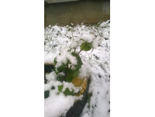 WP 20171023 09 16 42 Pro.jpg