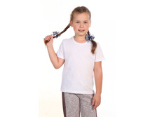 No�43 ��������