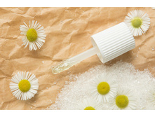 Dance Legend Step �����-c����-���.����