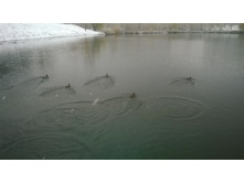 WP 20171023 09 27 46 Pro.jpg