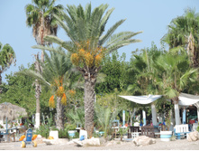 DSCN5427.JPG