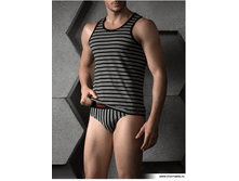 �����-�������� IFMB 771218.png