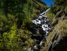 DSC05681.jpg