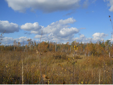 DSCN4479.JPG