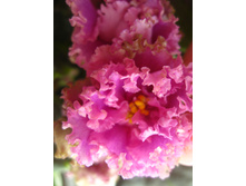 �� ��������� �������